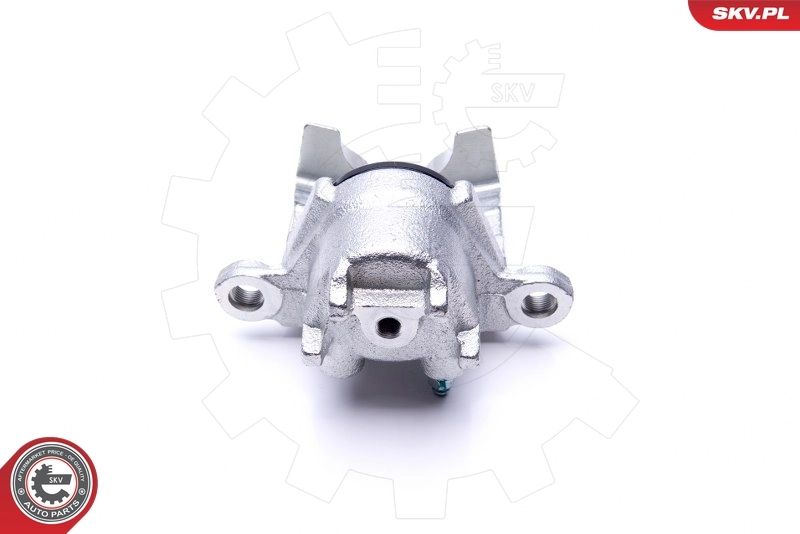 Brake Caliper 46SKV864