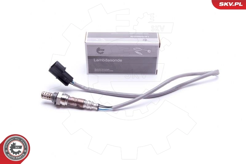 Oxygen Sensor 09SKV439