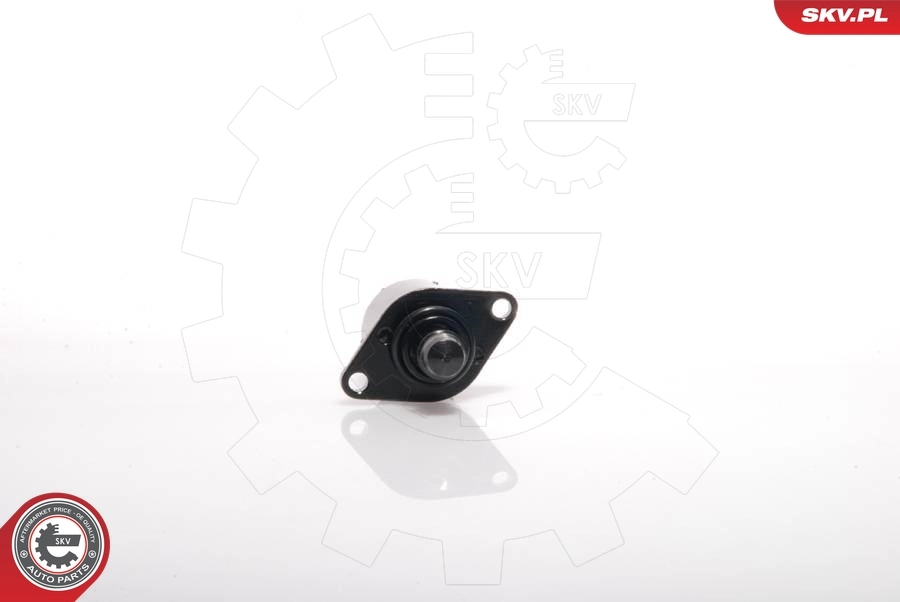 ESEN SKV 08SKV036 Idle Control Valve, air supply