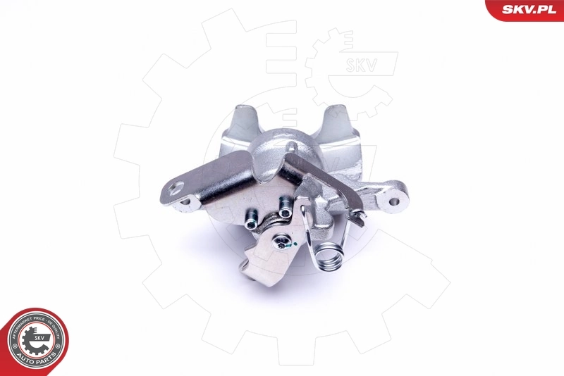 Brake Caliper 50SKV033