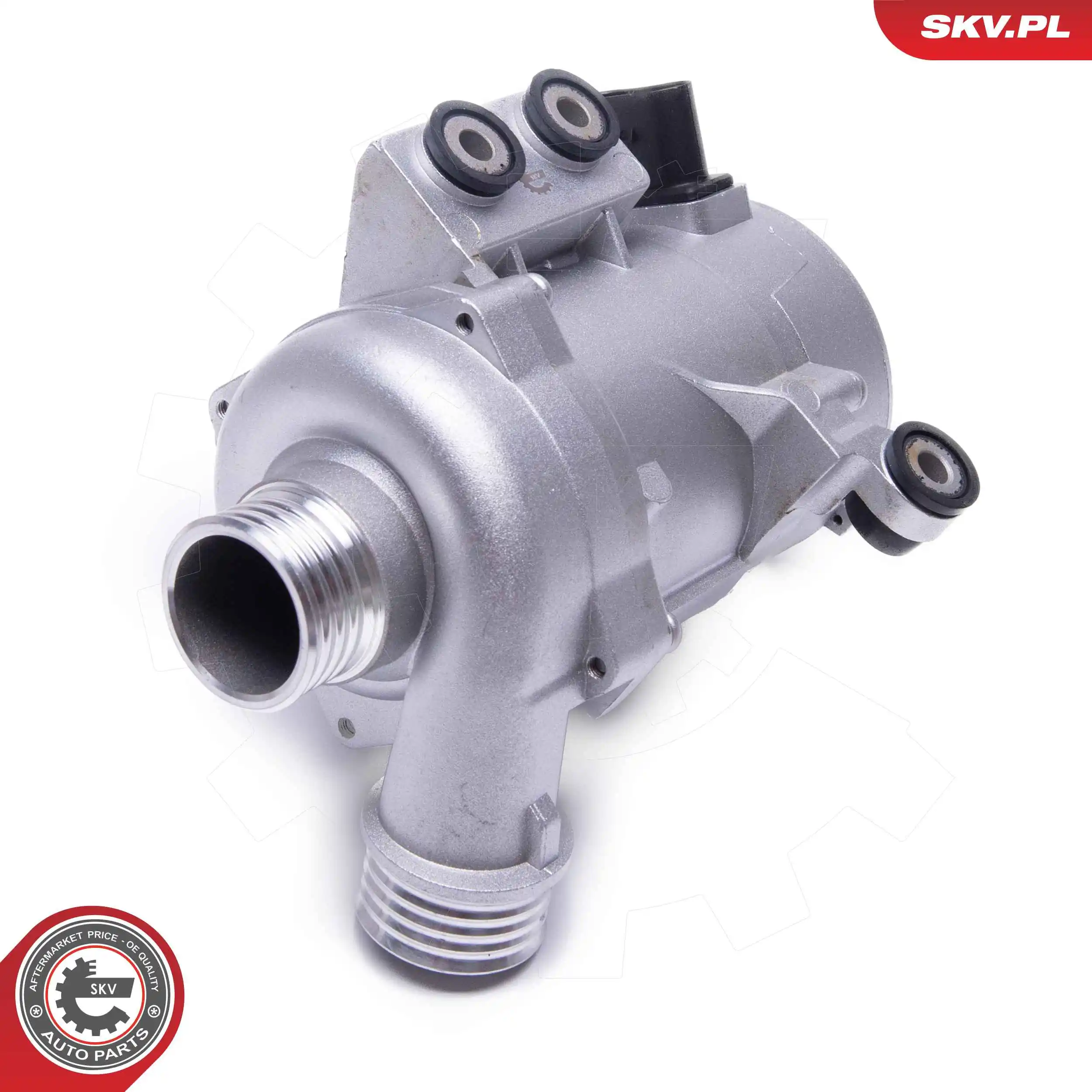 Water Pump, engine cooling 22SKV046