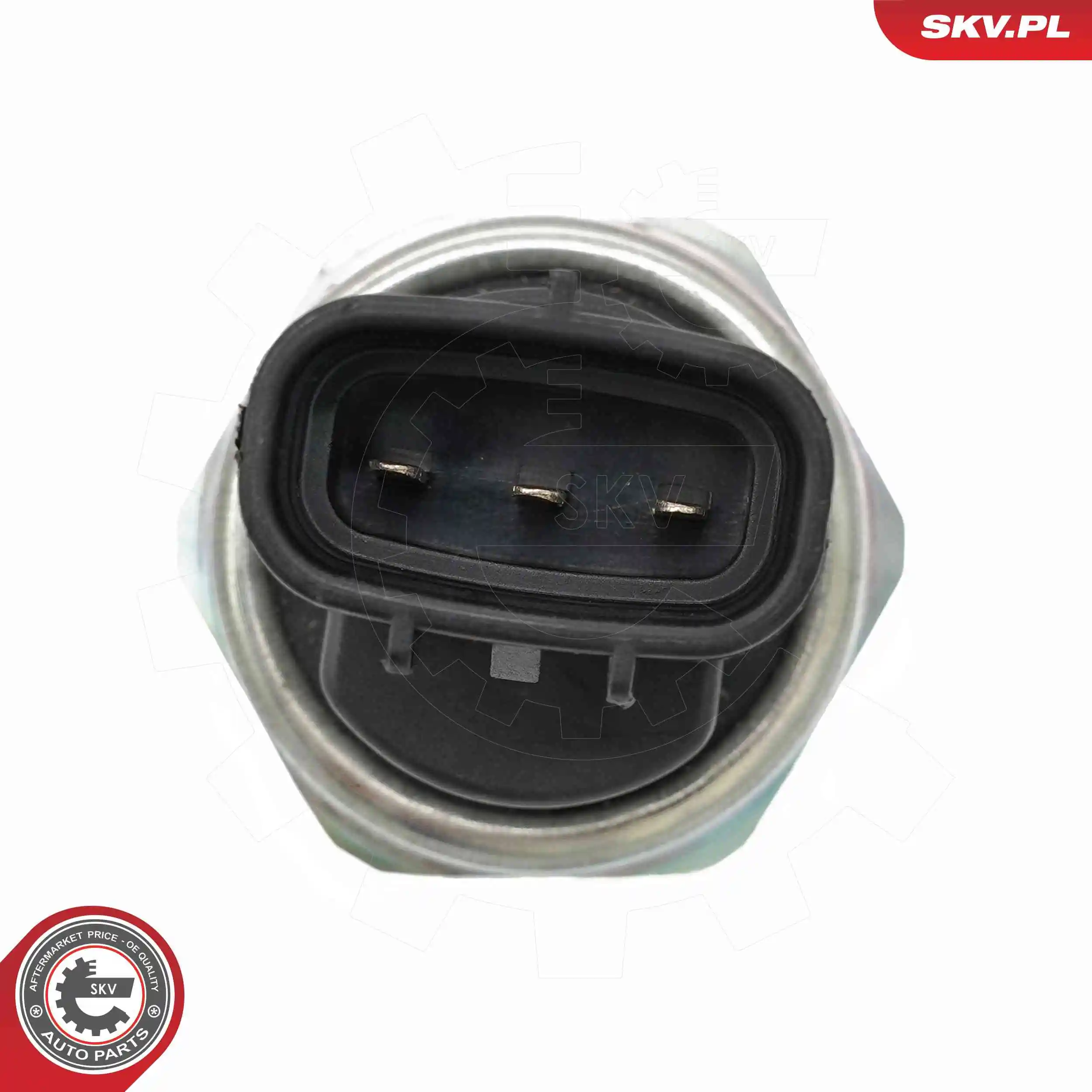 Sensor, fuel pressure 17SKV080