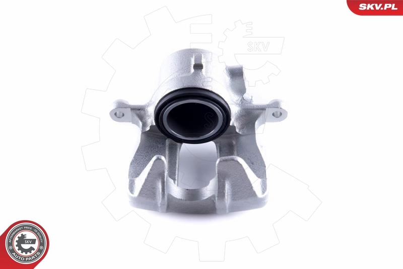 ESEN SKV 55SKV042 Brake Caliper
