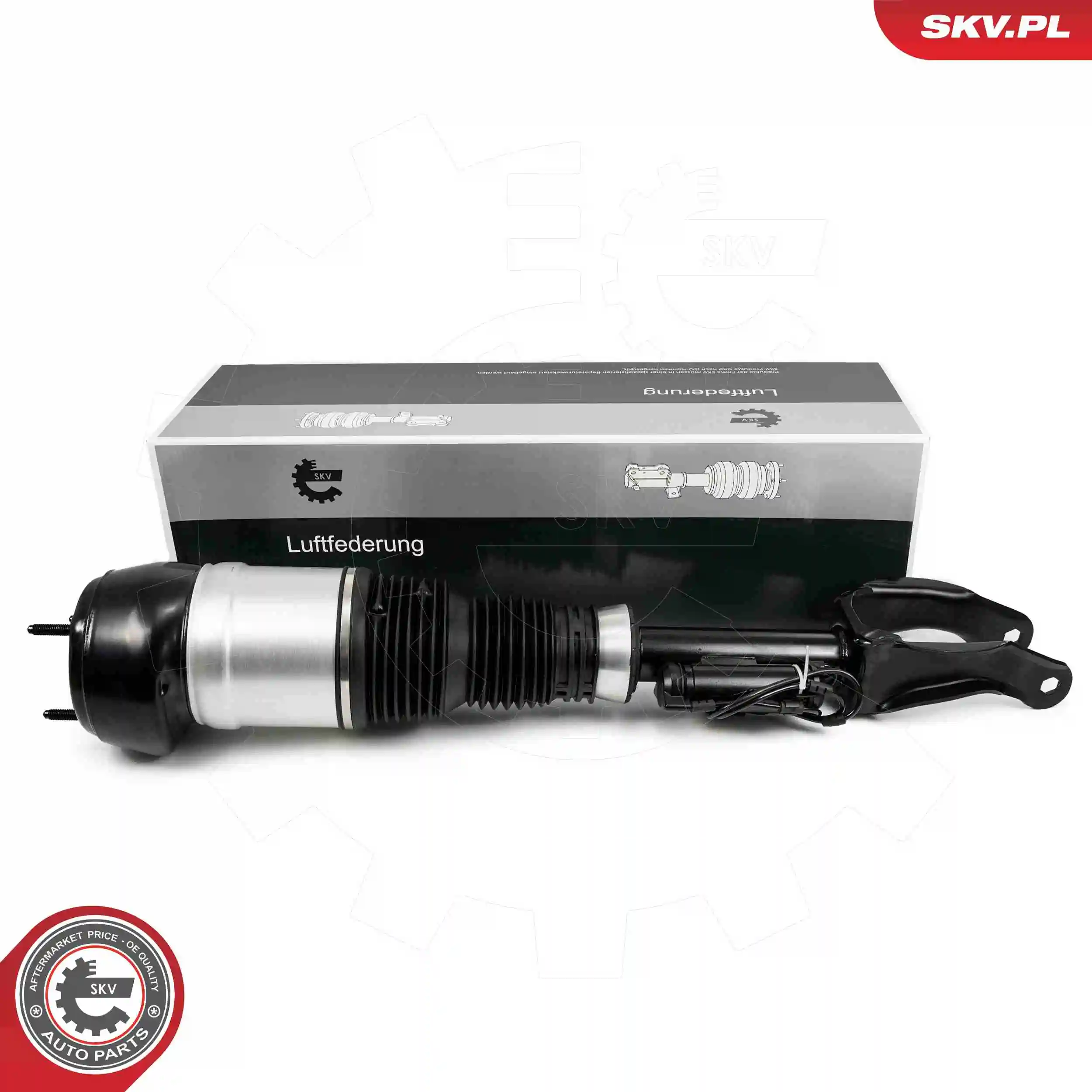 Air Suspension Strut 58SKV717