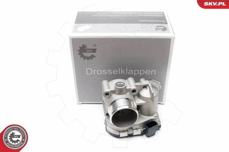Throttle Body 12SKV043
