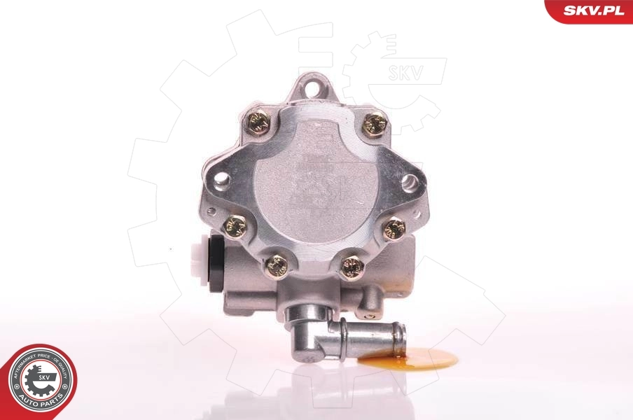 ESEN SKV 10SKV117 Hydraulic Pump, steering