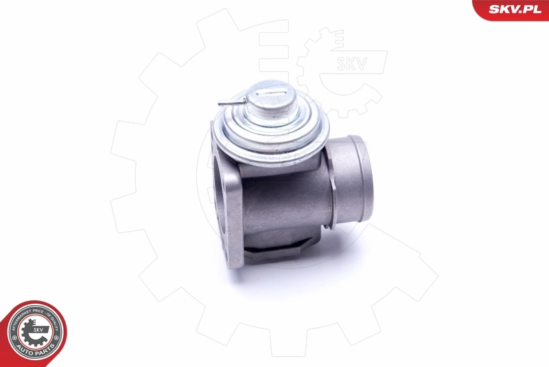 EGR Valve 14SKV174