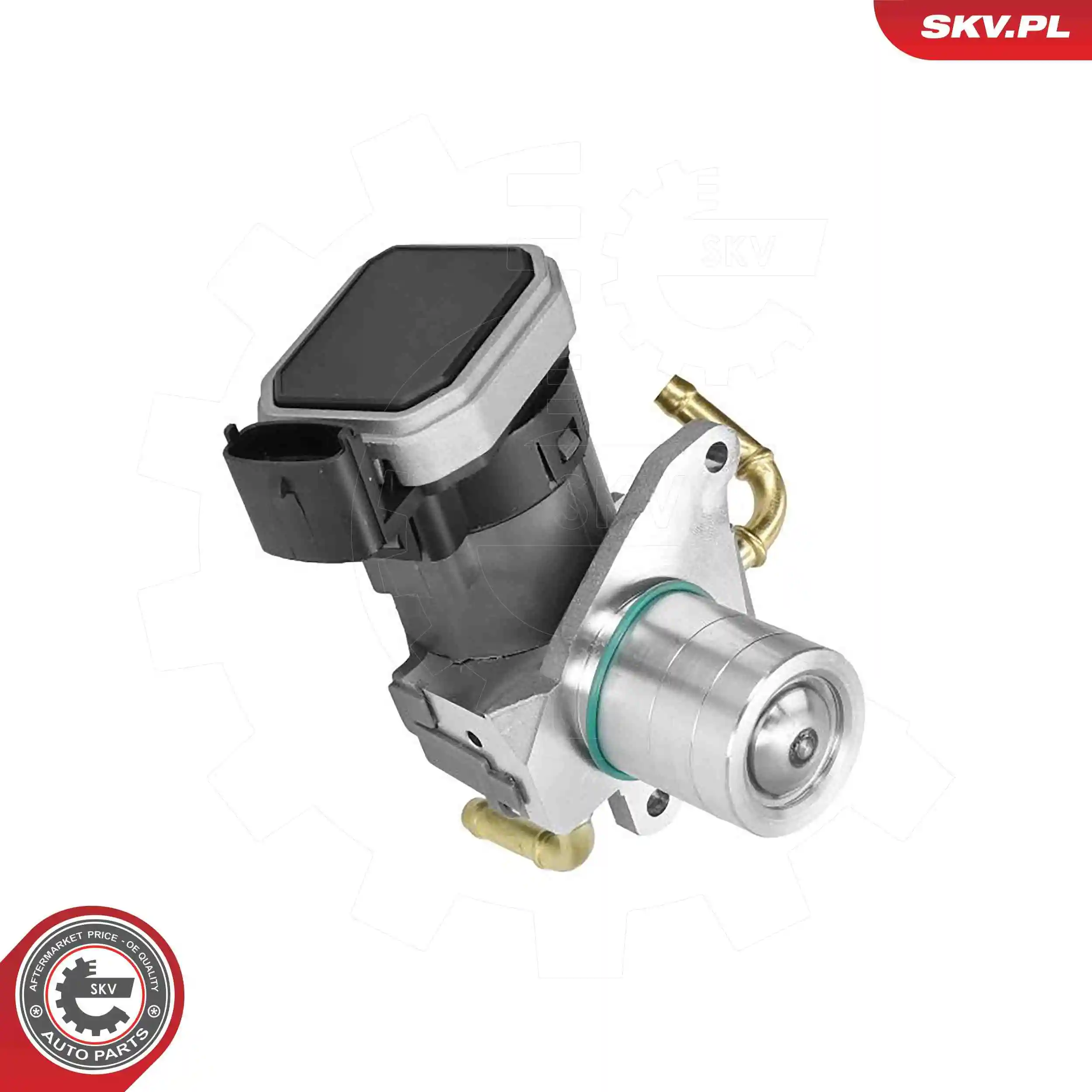 EGR Valve 14SKV303