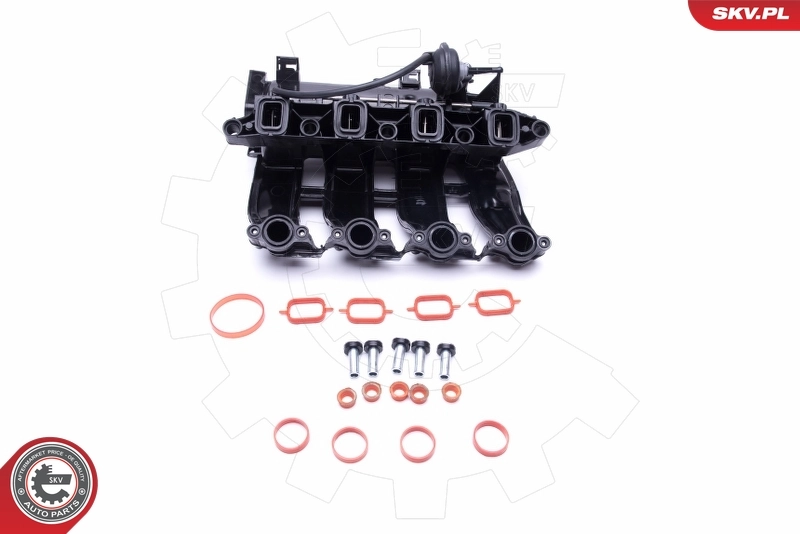 ESEN SKV 49SKV017 Intake Manifold Module