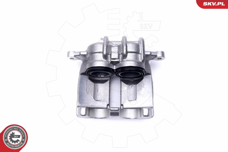 Brake Caliper 55SKV681