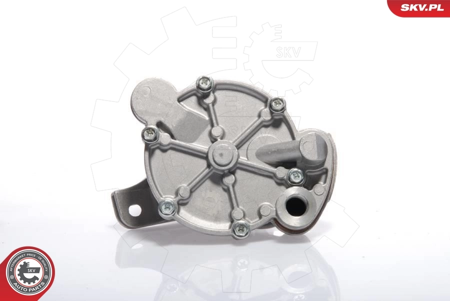 Vacuum Pump, braking system 18SKV009