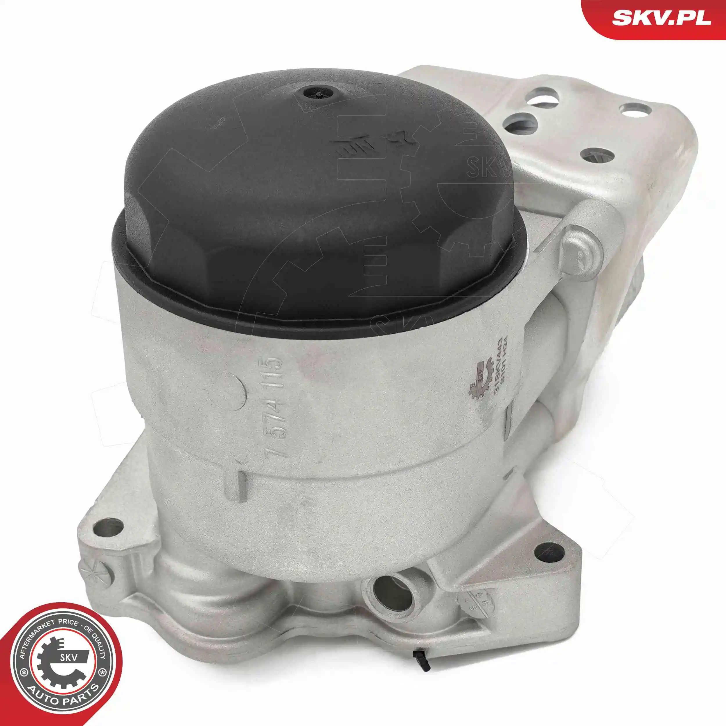 Oil Cooler, engine oil 31SKV443