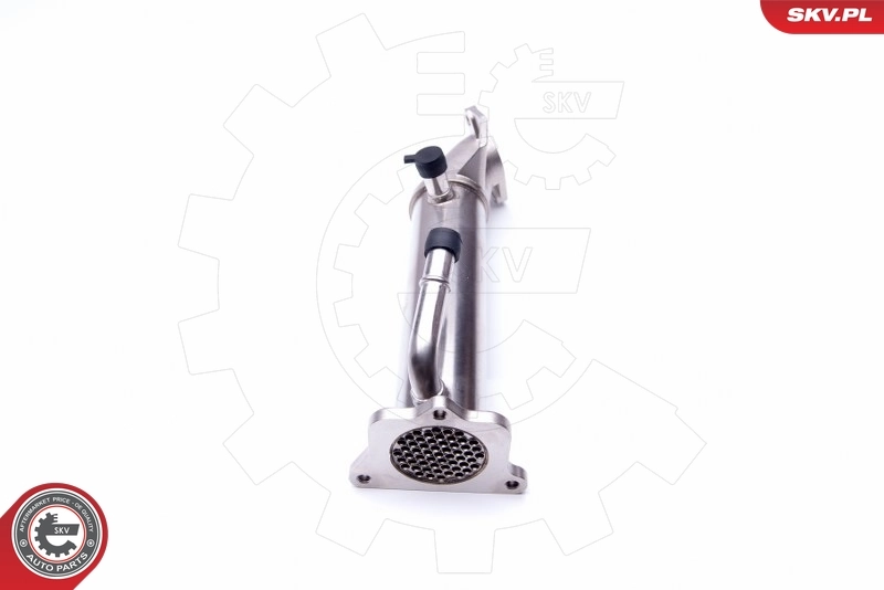 Cooler, exhaust gas recirculation 14SKV146