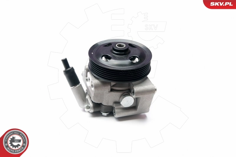 Hydraulic Pump, steering 10SKV215