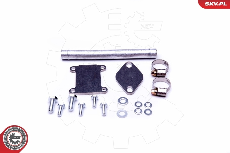 ESEN SKV 14SKV508 Repair Set, EGR valve