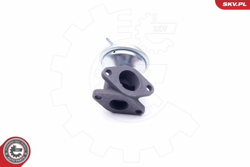 EGR Valve 14SKV183