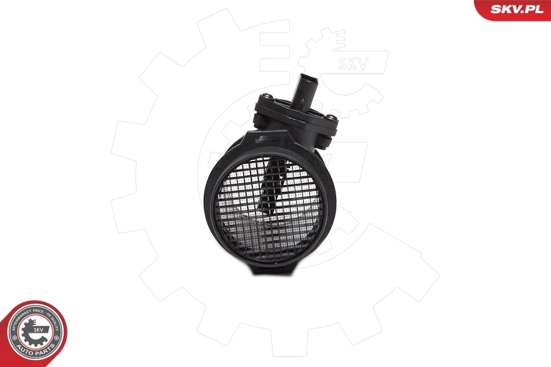 Mass Air Flow Sensor 07SKV030