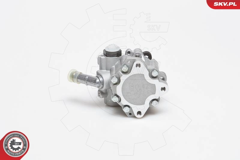 Hydraulic Pump, steering 10SKV129