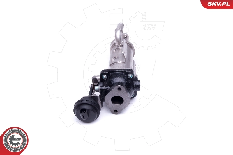 Cooler, exhaust gas recirculation 14SKV227
