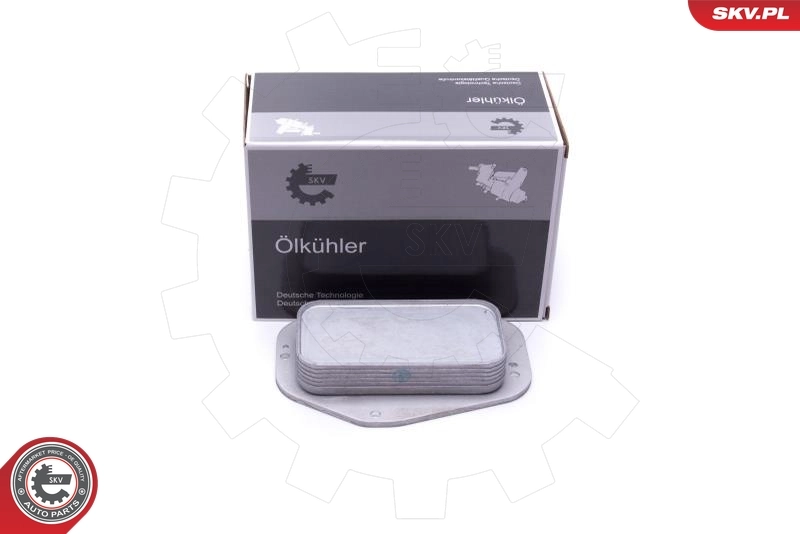 Oil Cooler, engine oil 31SKV231