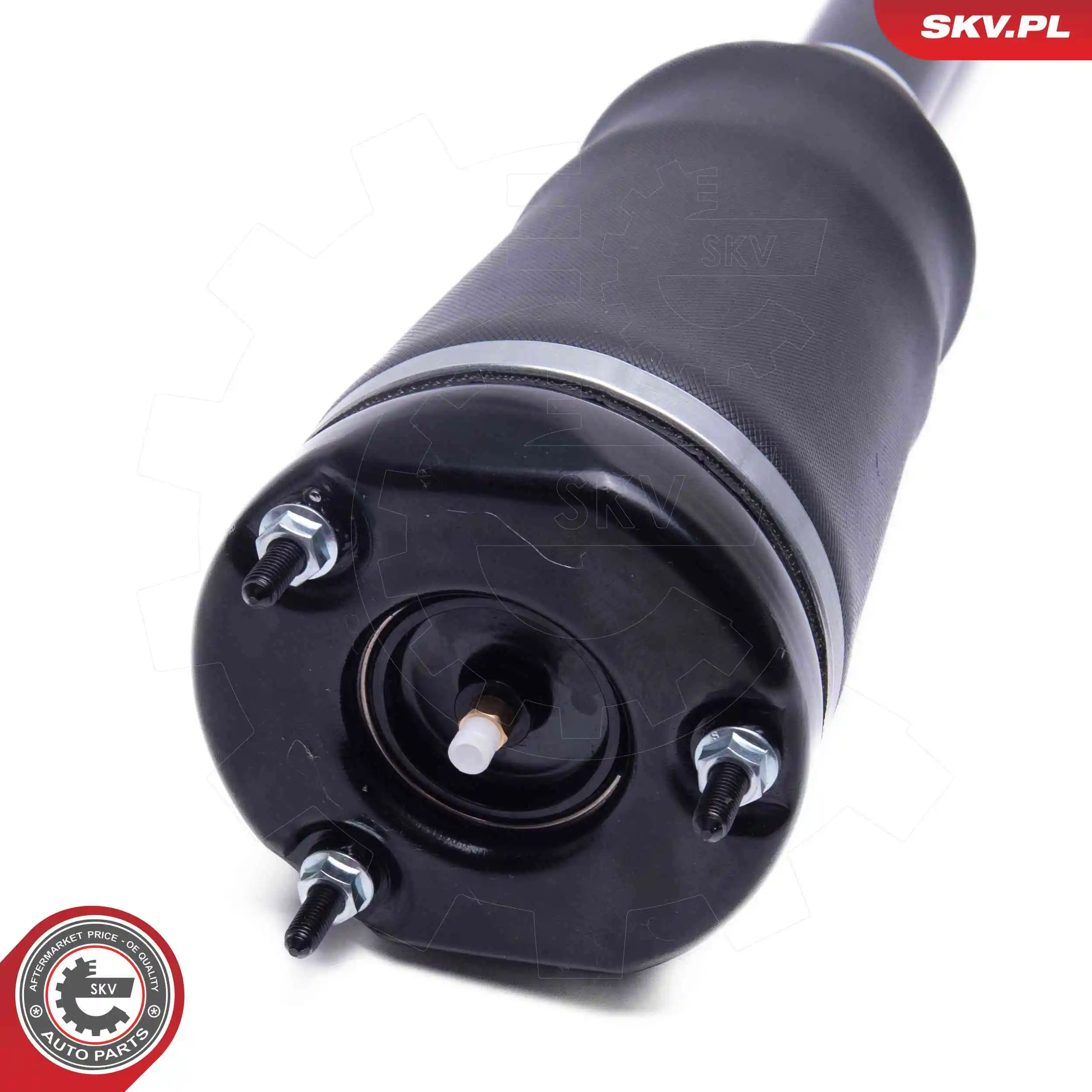 Air Suspension Strut 58SKV713