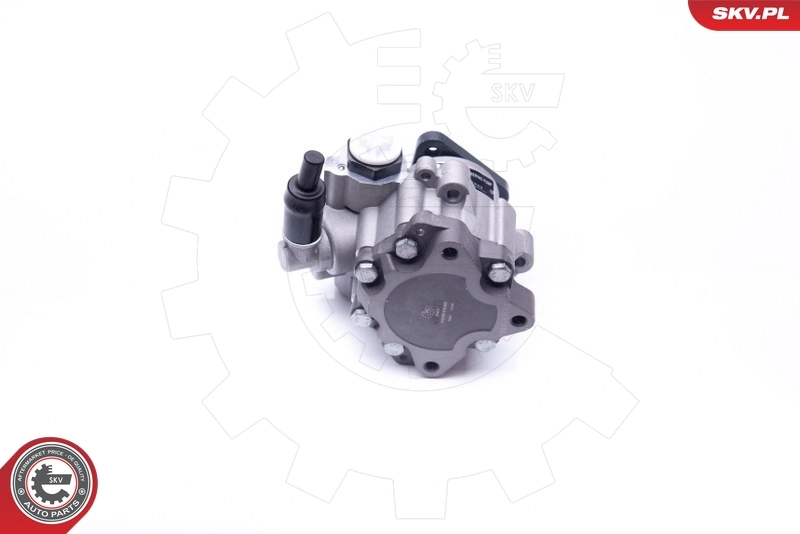 Hydraulic Pump, steering 10SKV242