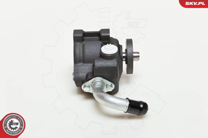 Hydraulic Pump, steering 10SKV036