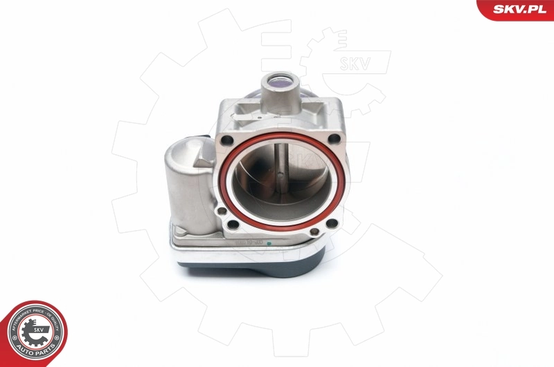 Throttle Body 12SKV050