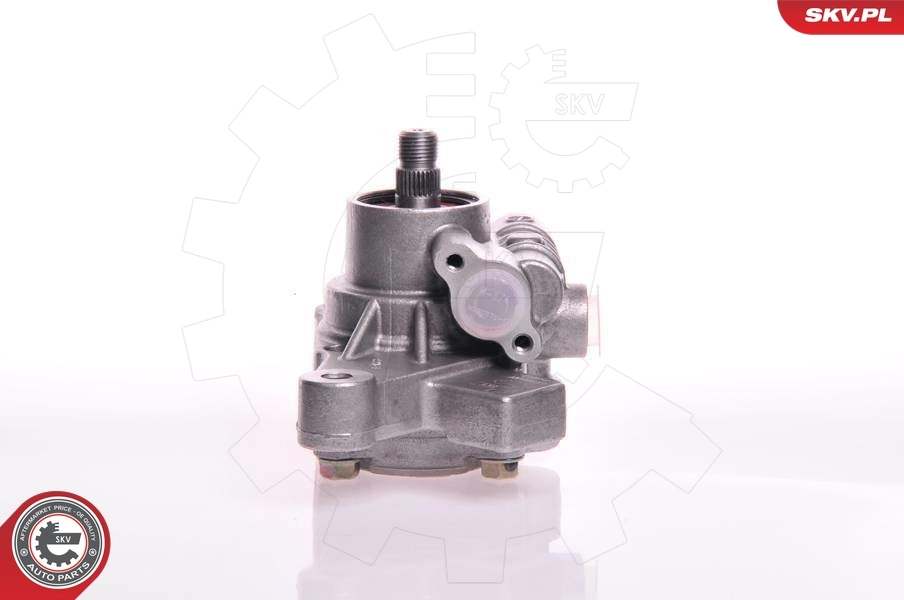 Hydraulic Pump, steering 10SKV103