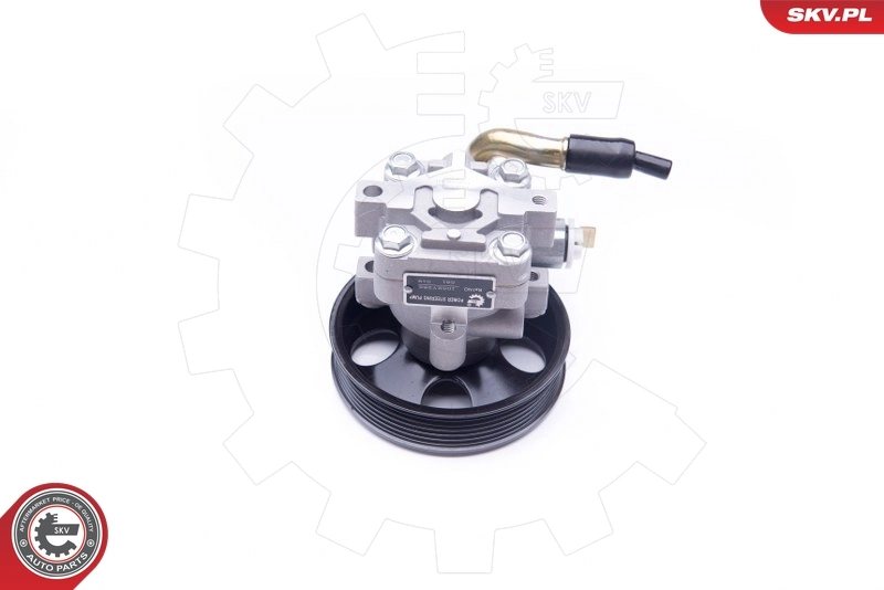 Hydraulic Pump, steering 10SKV263