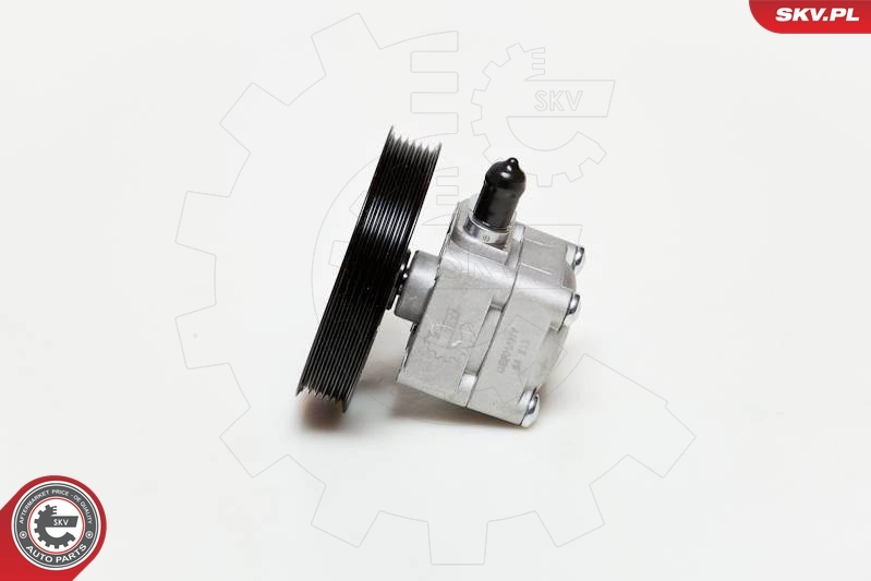 Hydraulic Pump, steering 10SKV177