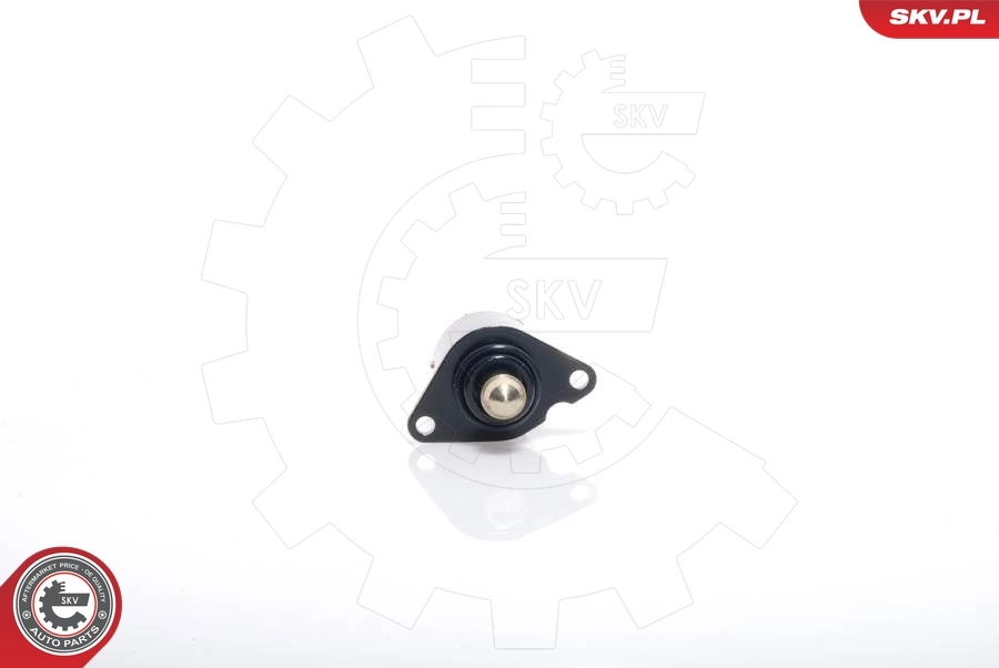 Idle Control Valve, air supply 08SKV017