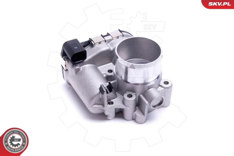 Throttle Body 12SKV111
