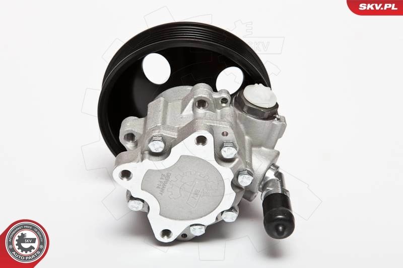 Hydraulic Pump, steering 10SKV063