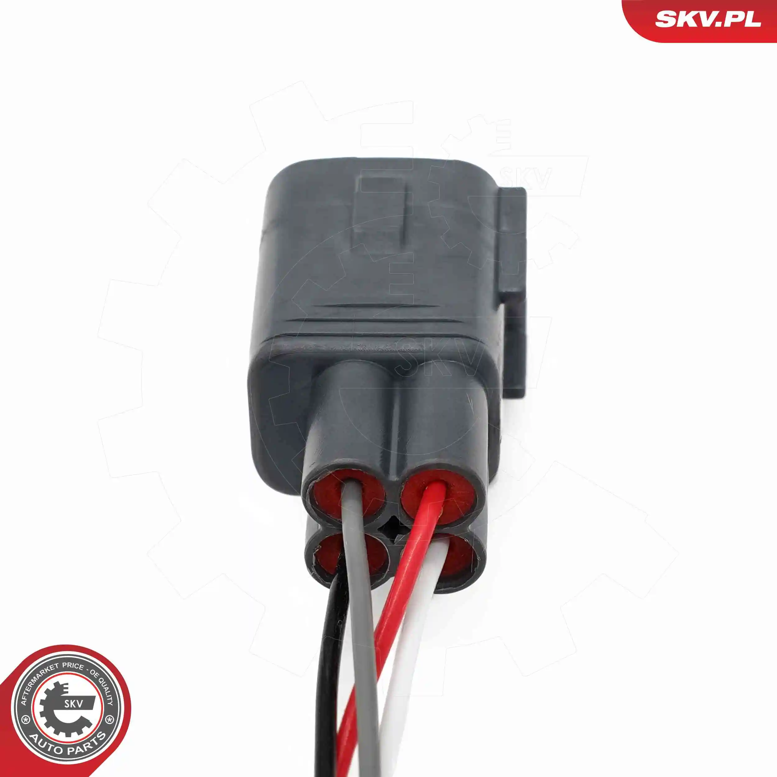 Oxygen Sensor 09SKV193