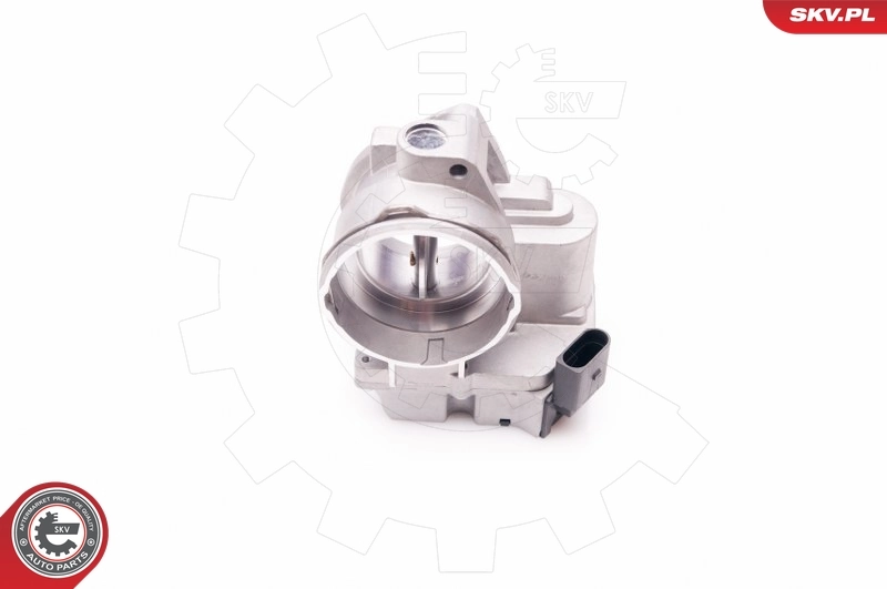 Throttle Body 12SKV062