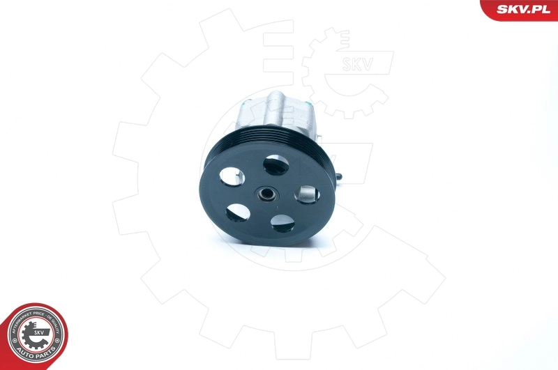 Hydraulic Pump, steering 10SKV183