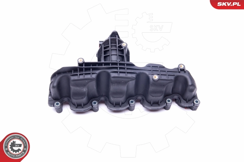 Intake Manifold Module 49SKV008