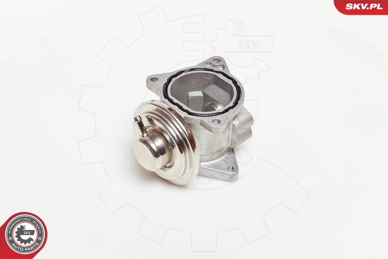 EGR Valve 14SKV019