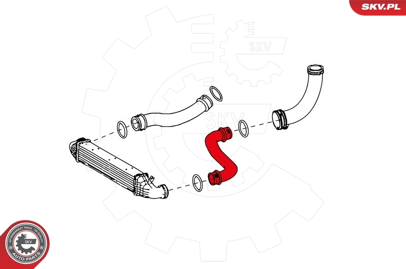 Charge Air Hose 24SKV632