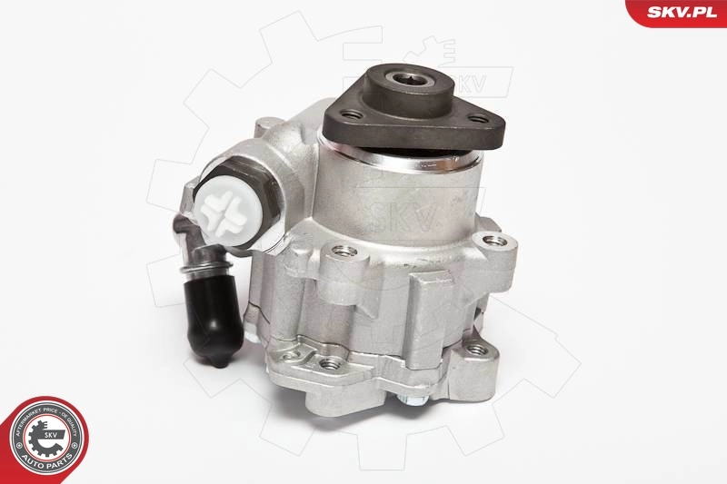Hydraulic Pump, steering 10SKV015