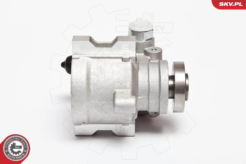 Hydraulic Pump, steering 10SKV089