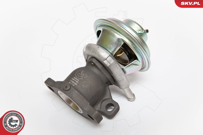EGR Valve 14SKV062