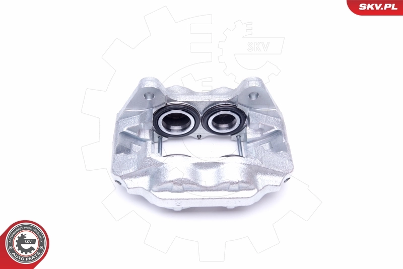 Brake Caliper 42SKV832