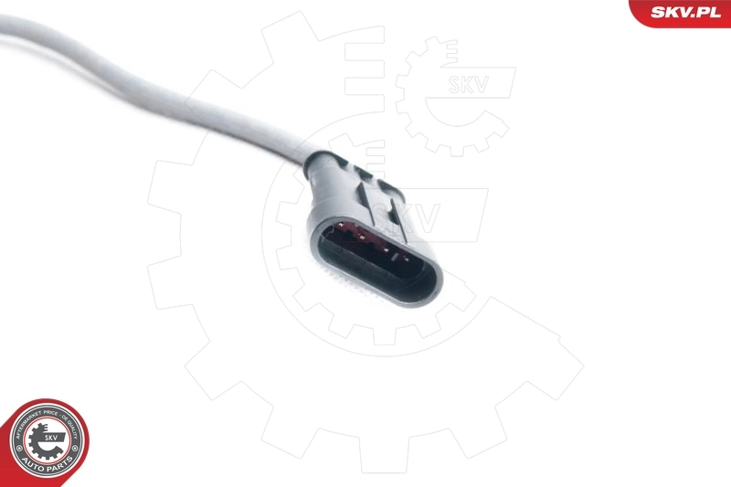 Oxygen Sensor 09SKV095