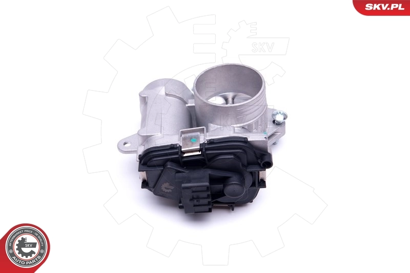 Throttle Body 12SKV073
