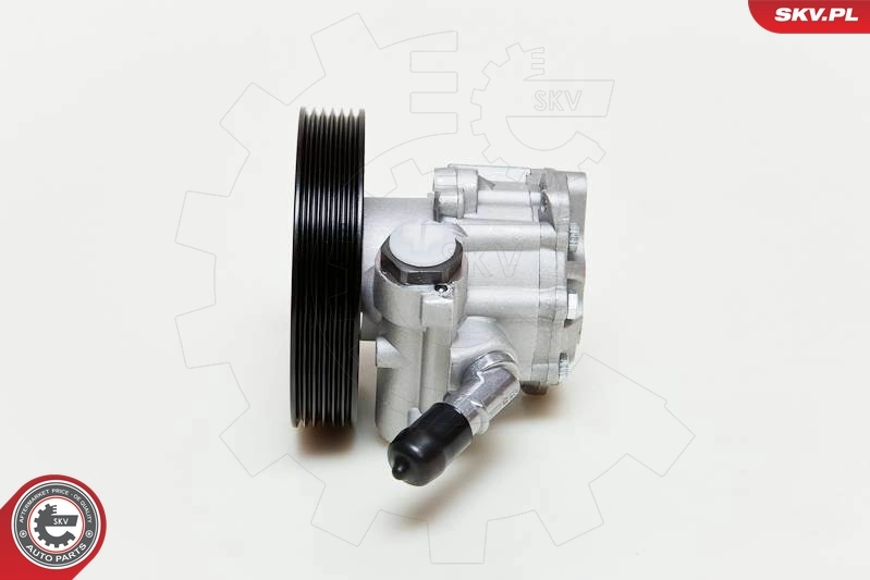 Hydraulic Pump, steering 10SKV060