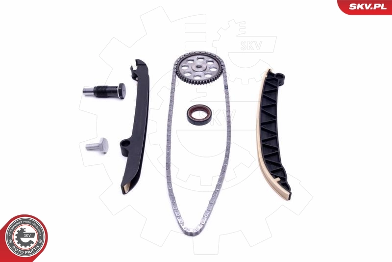 Timing Chain Kit 21SKV154