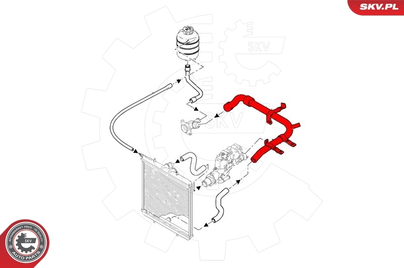 Coolant Pipe 43SKV781