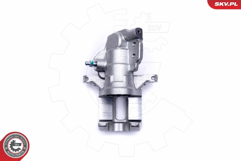 Brake Caliper 50SKV433